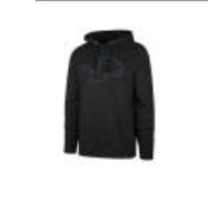 Detroit Lions hoodie